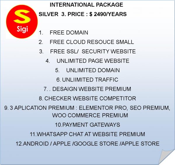 International Package Silver 3